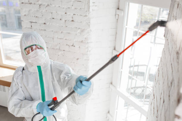 Best Mold Documentation for Insurance Claims  in Johnsonburg, PA