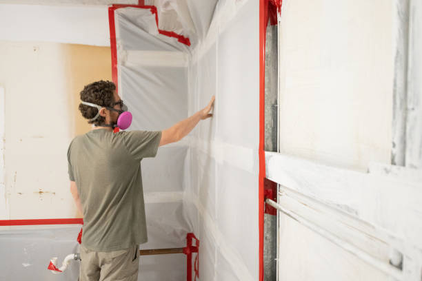 Mold Remediation for Rental Properties in Johnsonburg, PA