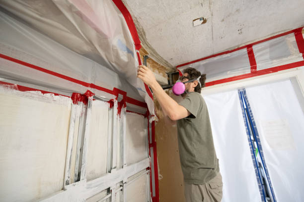  Johnsonburg, PA Mold Removal Pros