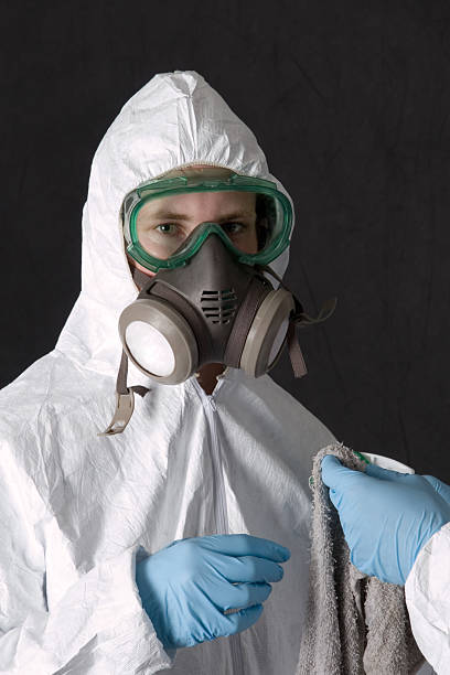 Trusted Johnsonburg, PA Mold Removal Experts